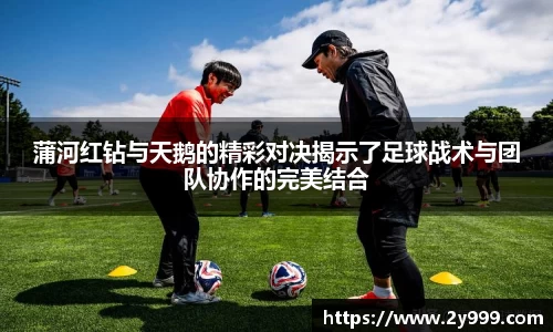 蒲河红钻与天鹅的精彩对决揭示了足球战术与团队协作的完美结合